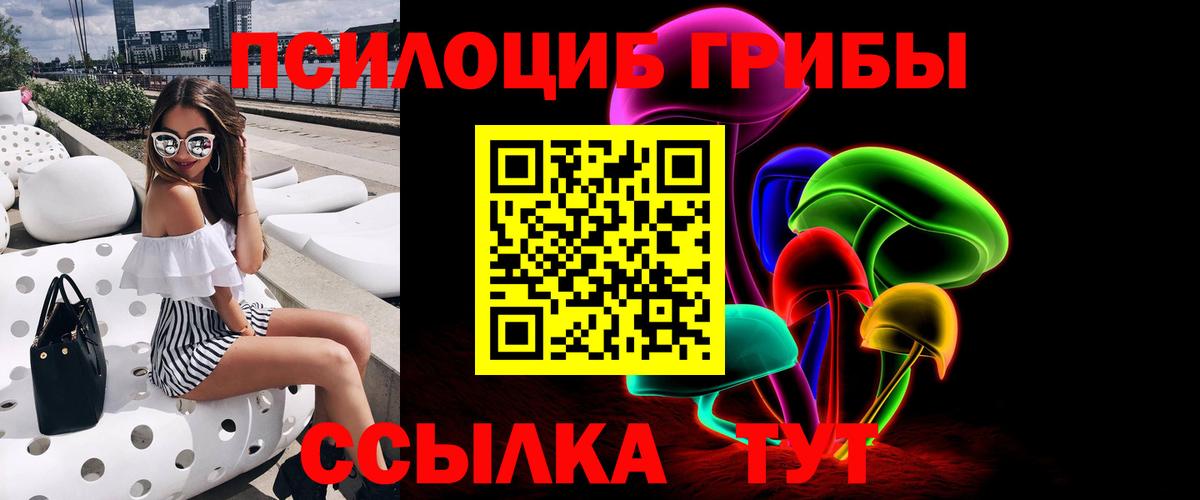 цена наркотик  Псилоцибиновые грибы Cubensis  Вход с VPN  Камышлов 
